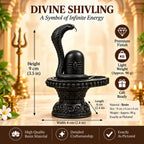 Naga Shivling Idol