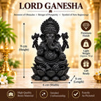 Royal Ganesh Murti