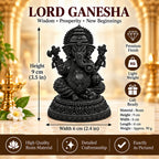 Premium Ganesh Statue