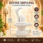 Naga Shivling Idol