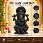 Elegant Ganesh Idol